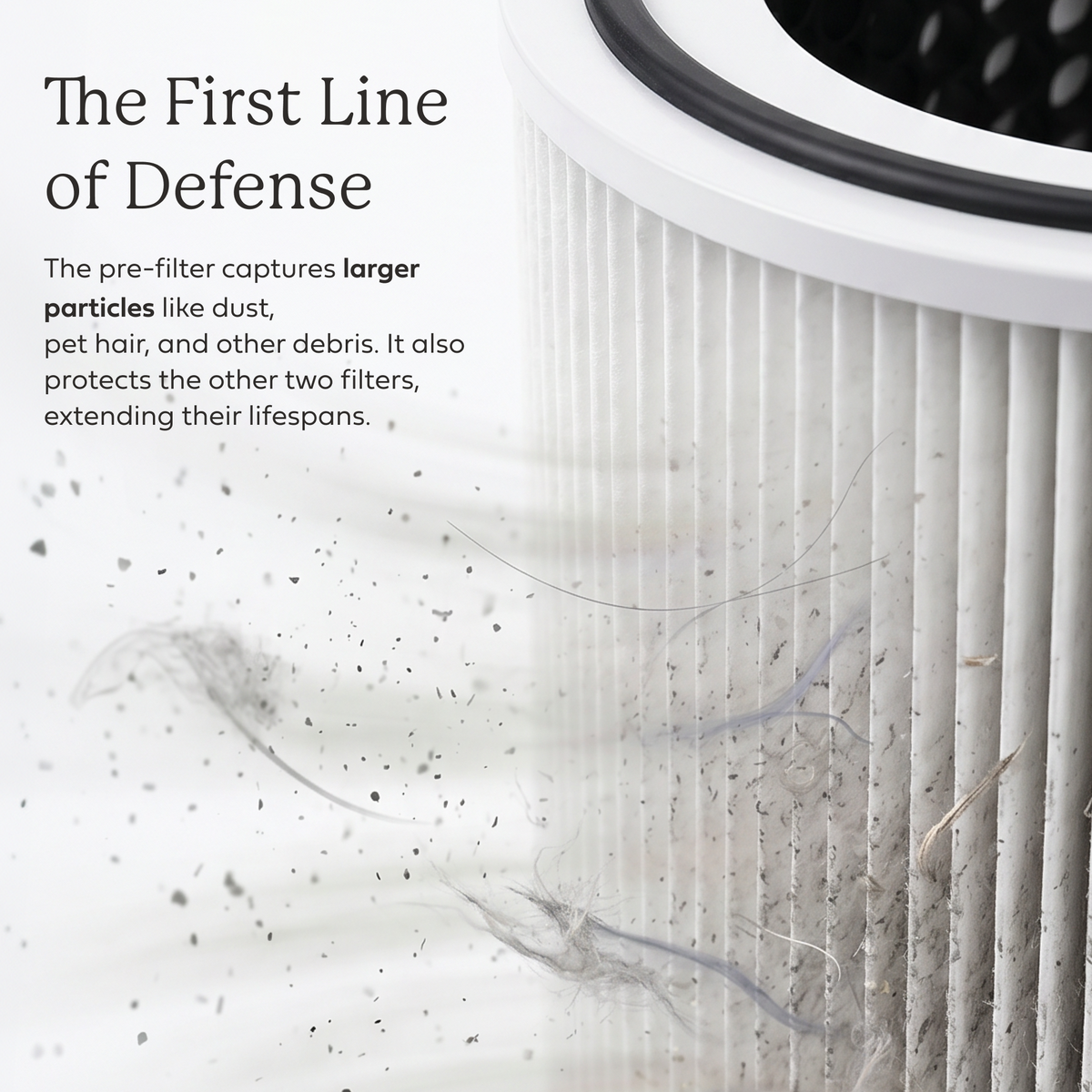 AirDoctor 4000 pleated-filter close-up with an illustration of dust and hair