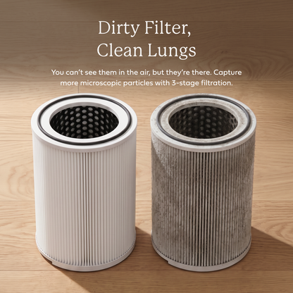 Clean and darkened cylindrical AirDoctor 4000 filters side by side